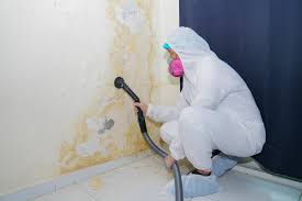 Best Residential Mold Inspection & Testing  in Shrub Oak, NY